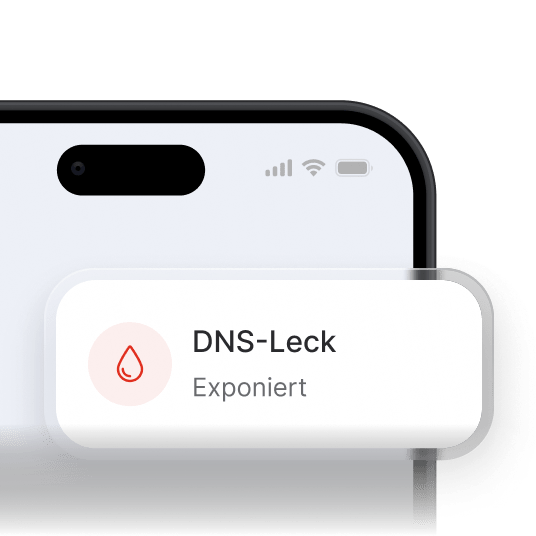 Ein Smartphone mit einem Ausschnitt, der ein erkanntes DNS-Leak anzeigt.