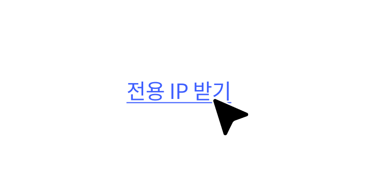 사용자가 VPN 서비스를 통해 전용 IP 주소를 받도록 안내하는 하이퍼링크