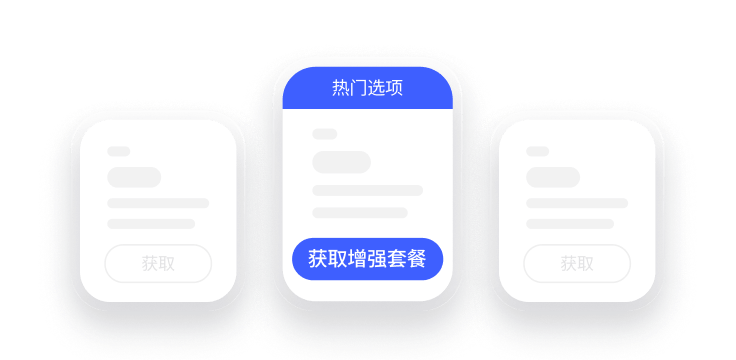 包含专用 IP 附加服务的 VPN 订阅套餐。