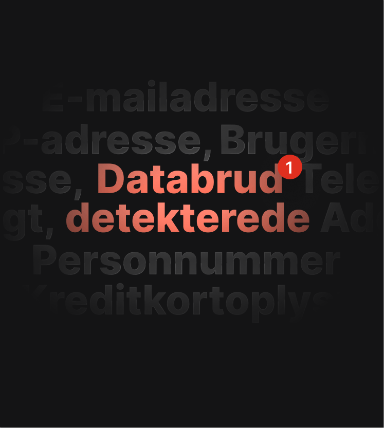 En illustration af en advarsel for DNS-lækagetest, der giver besked om, at brugeren har været udsat for en datalækage.