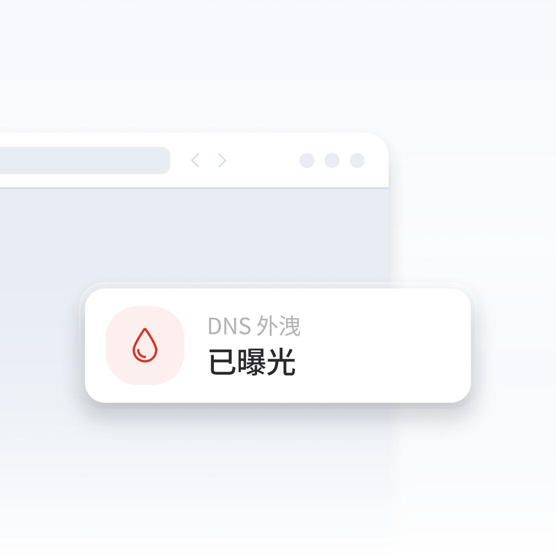網頁瀏覽器視窗畫面警告有 DNS 外洩。
