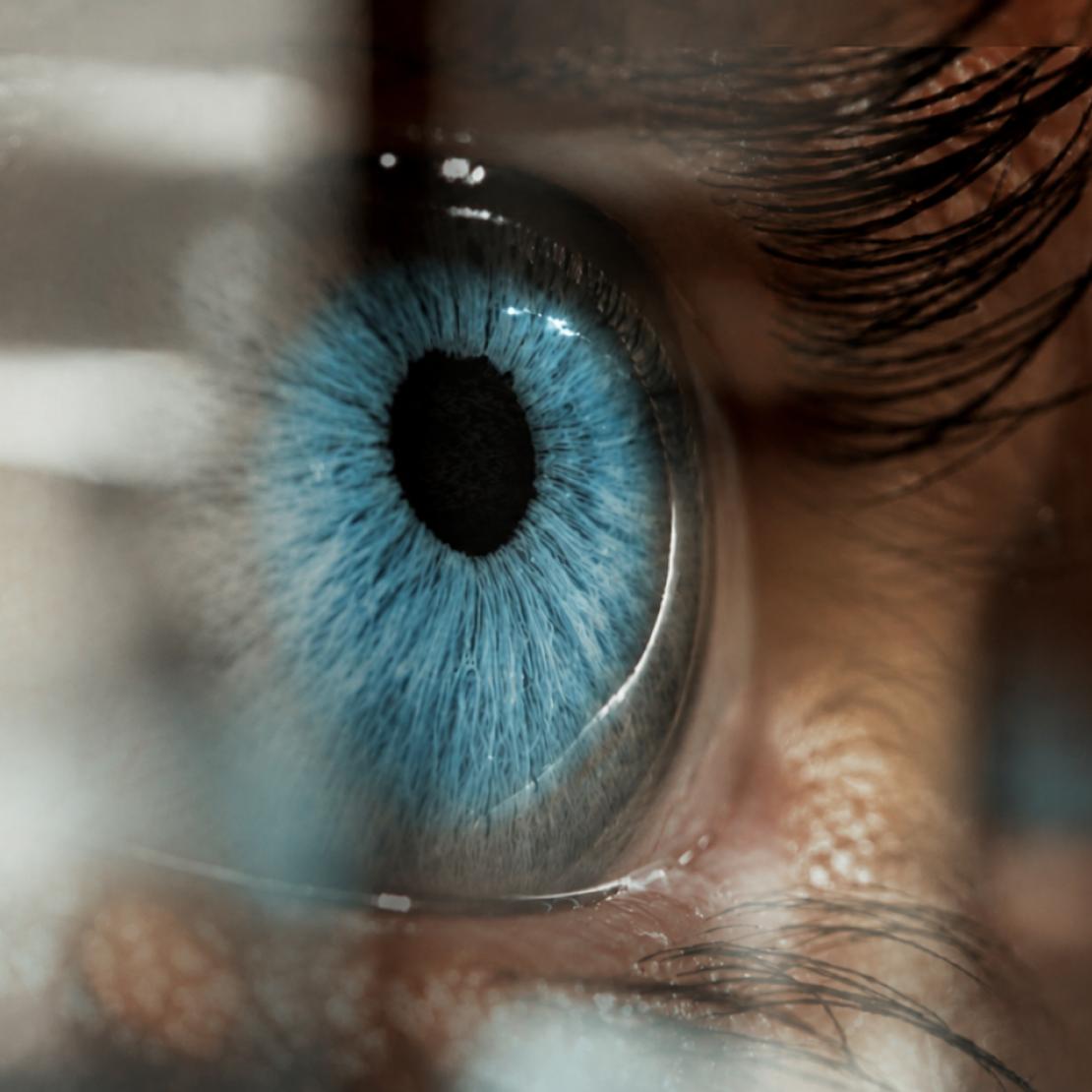 A close-up of a blue eye, illustrating Nord Security's leadership profile.