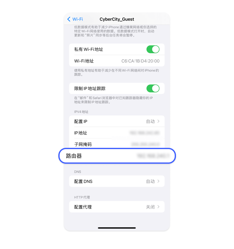 router-ip-ios-zh-cn-3
