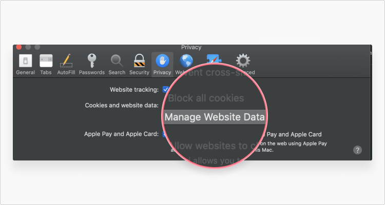 Delete cookies in Safari