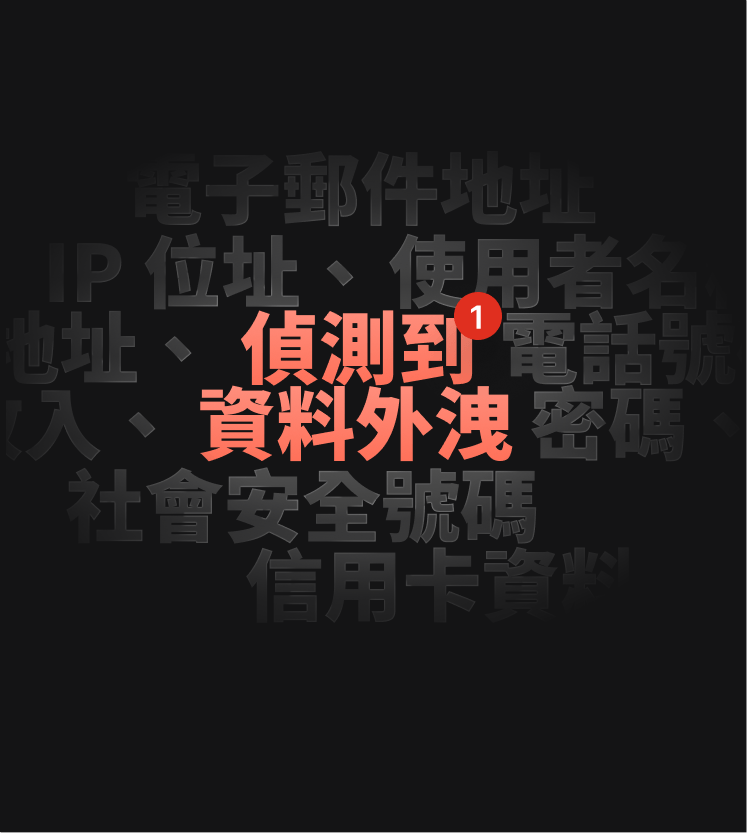 DNS 外洩測試警示的插圖，通知使用者已發生資料外洩。