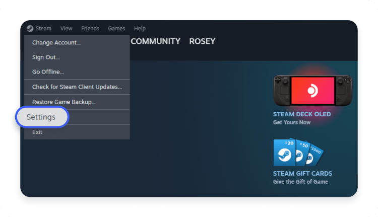 Steam settings