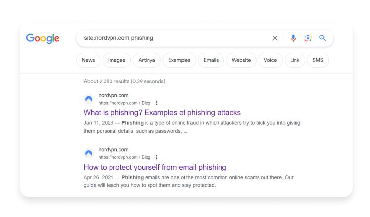 O que são Google Dorks: site