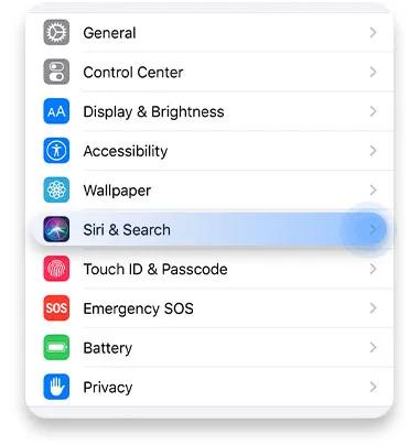 Tap on Siri &amp; Search