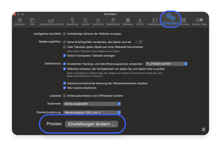 Proxyserveradresse finden Safari Schritt 2