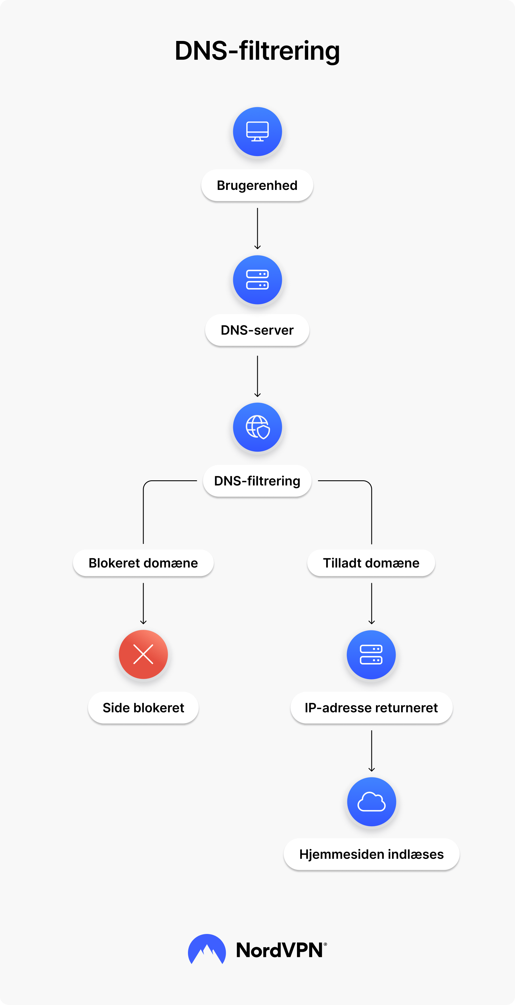 Bloginfografik: DNS-filtrering