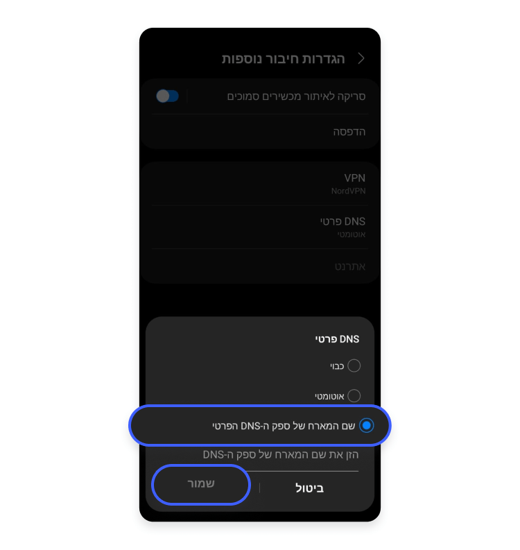 שם מארח של ספק DNS פרטי