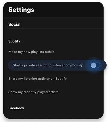 Spotify private session