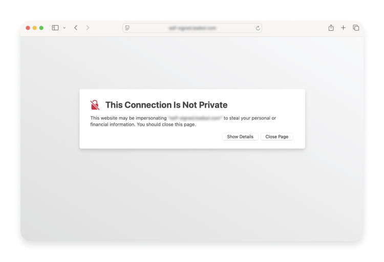 &quot;Your connection is not private&quot; error on Safari