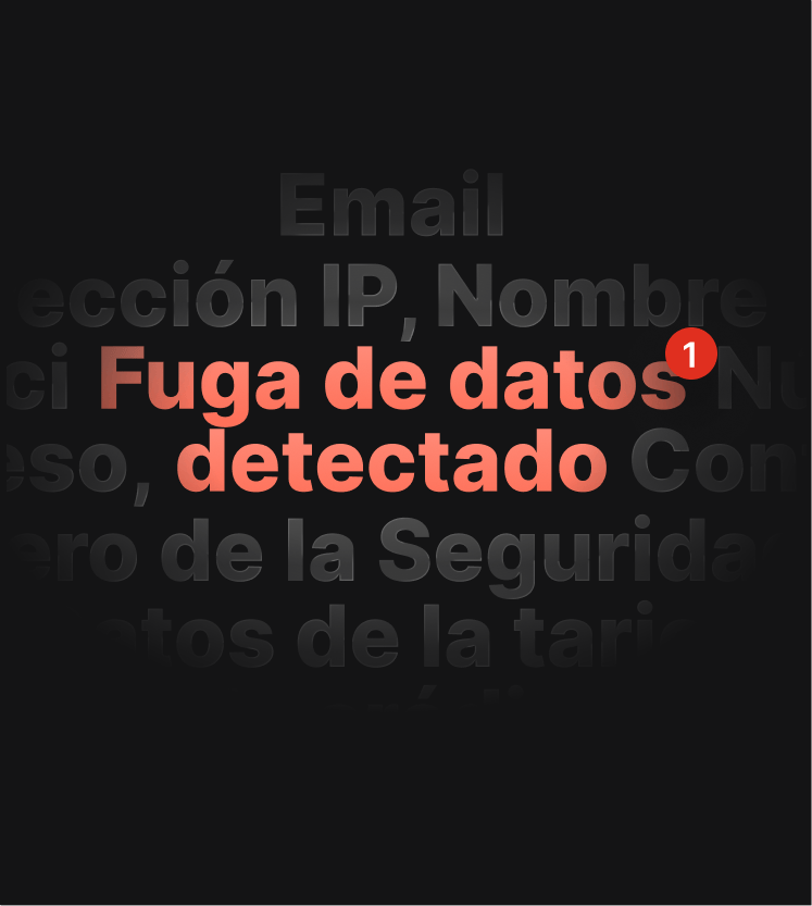 Una ilustración de una alerta de la prueba de filtraciones de DNS que avisa al usuario de que se han filtrado sus datos.