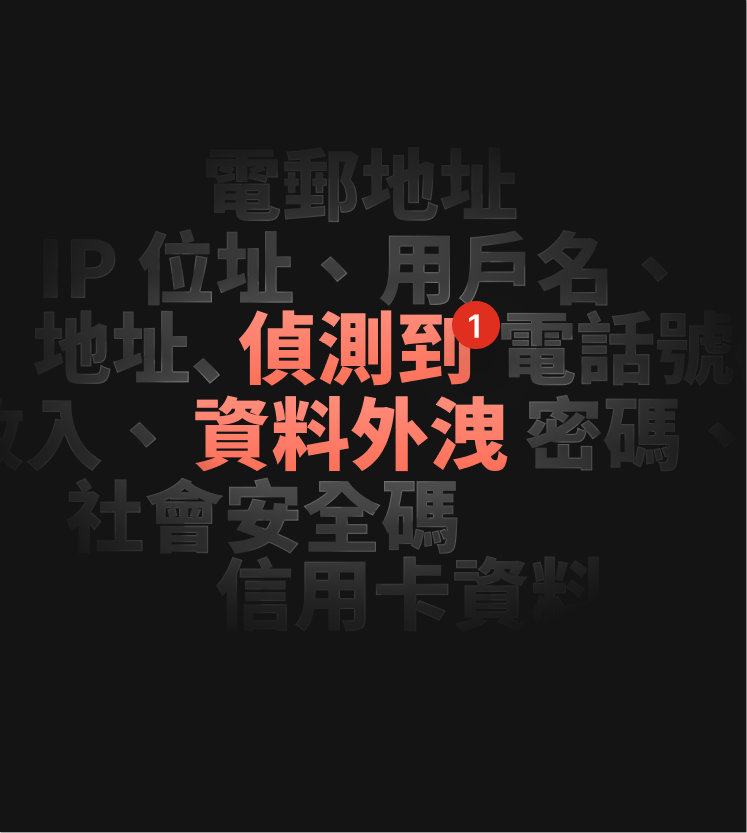 DNS 外洩測試警示的插圖，通知用戶已發生數據外洩。