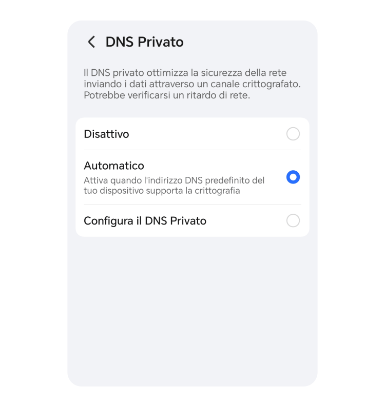 Screenshot &quot;Configura DNS&quot;