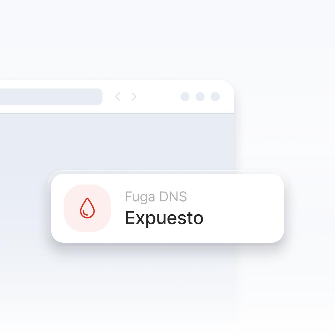 Un fragmento de una ventana de un navegador de internet que advierte sobre una filtración de DNS.