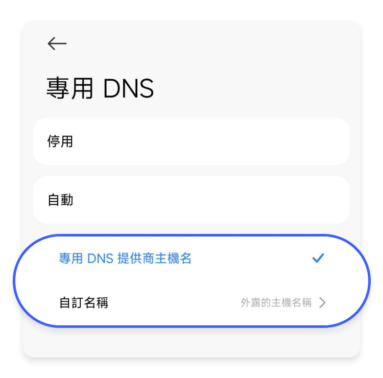 專用 DNS 提供商主機名