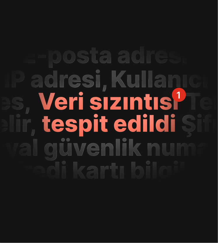Kullanıcının veri sızıntısına maruz kaldığını bildiren bir DNS sızıntı testi uyarısının görseli.