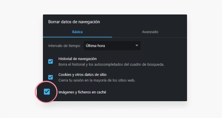 borrar cache Opera: paso 4
