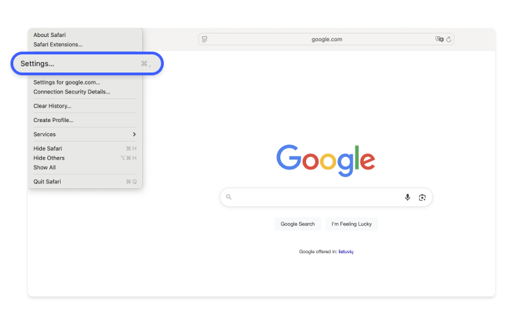 Saved passwords on Safari 1