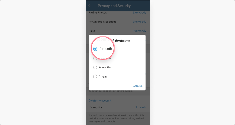 How to delete Telegram account