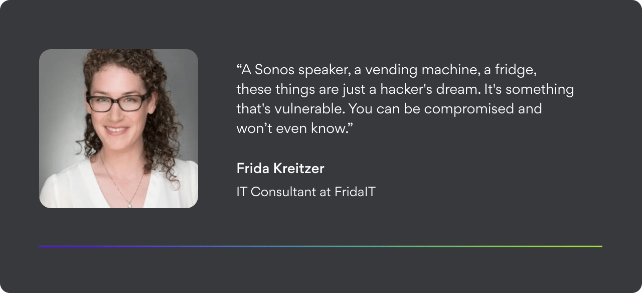 Frida Kreitzer, IT Consultant at FridaIT.