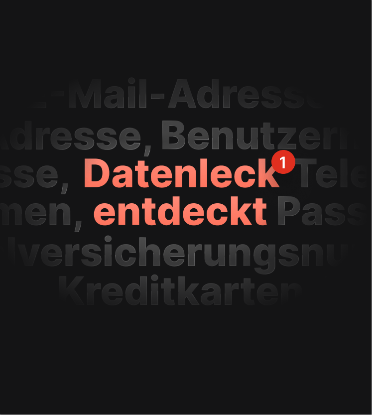 Eine Abbildung einer DNS-Leak-Test-Warnung, die anzeigt, dass ein Datenleck aufgetreten ist.