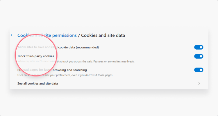 Manage cookies in Windows 10 and 11