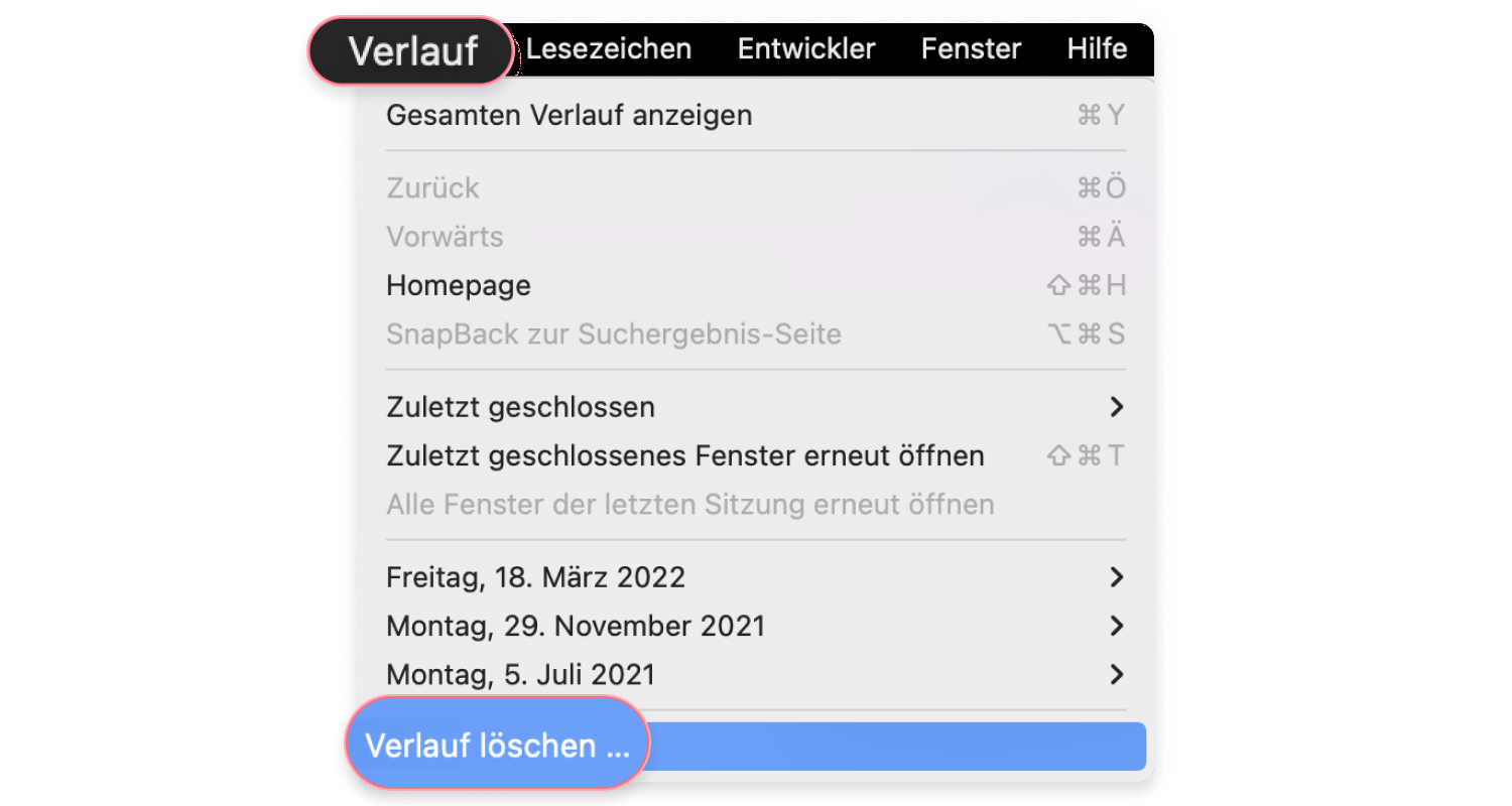 How to delete Safari history