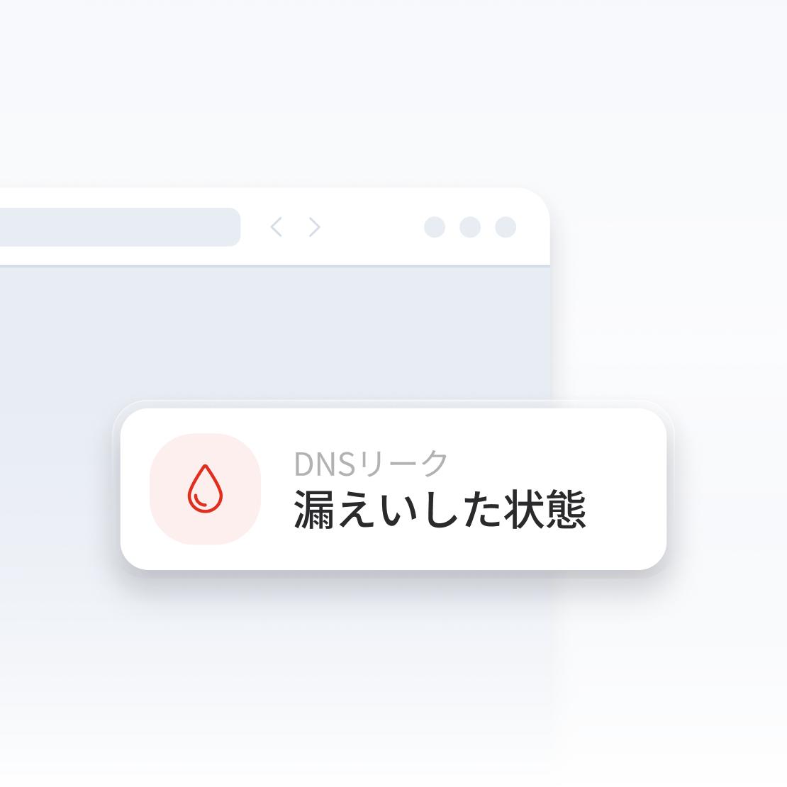 DNSリークについて警告するインターネットブラウザウィンドウの一部。