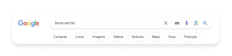 O que são Google Dorks: txt