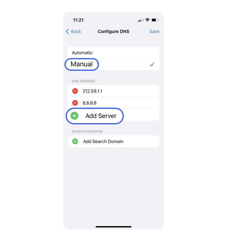 iphone dns manual
