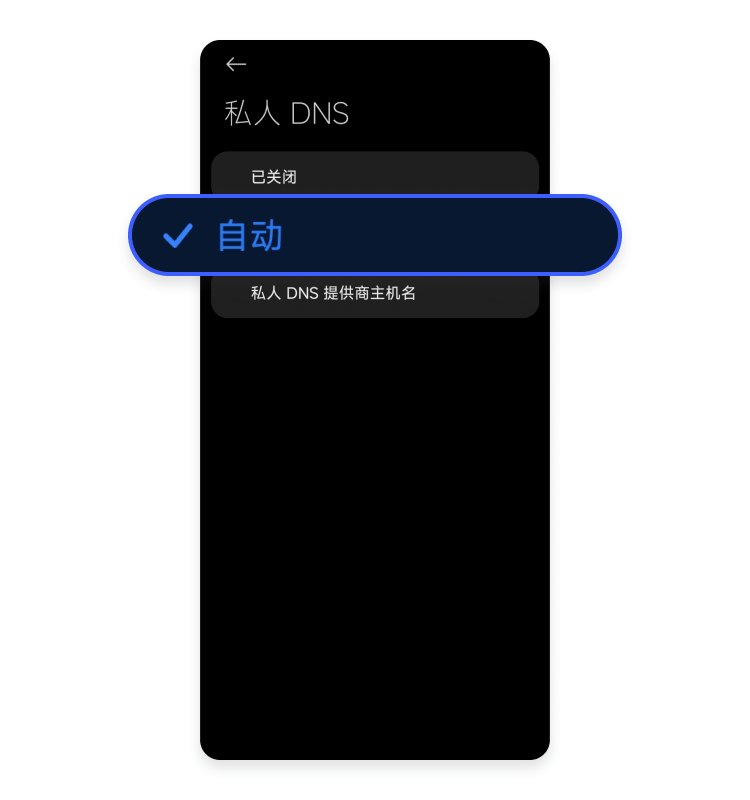 选择私人 DNS 中的自动选项