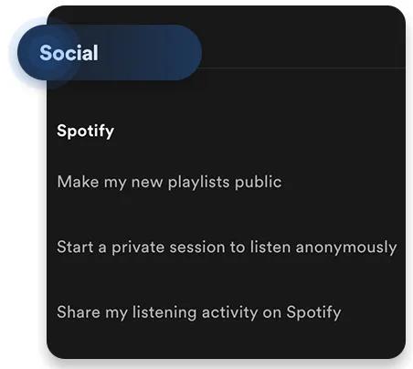 Spotify private session