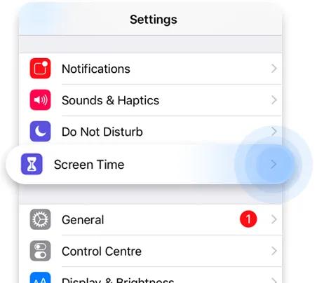 Disable Safari