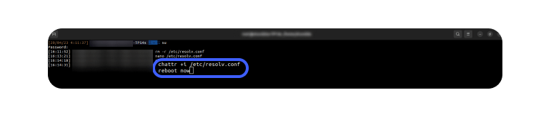 How to change Your DNS server on Linux 4