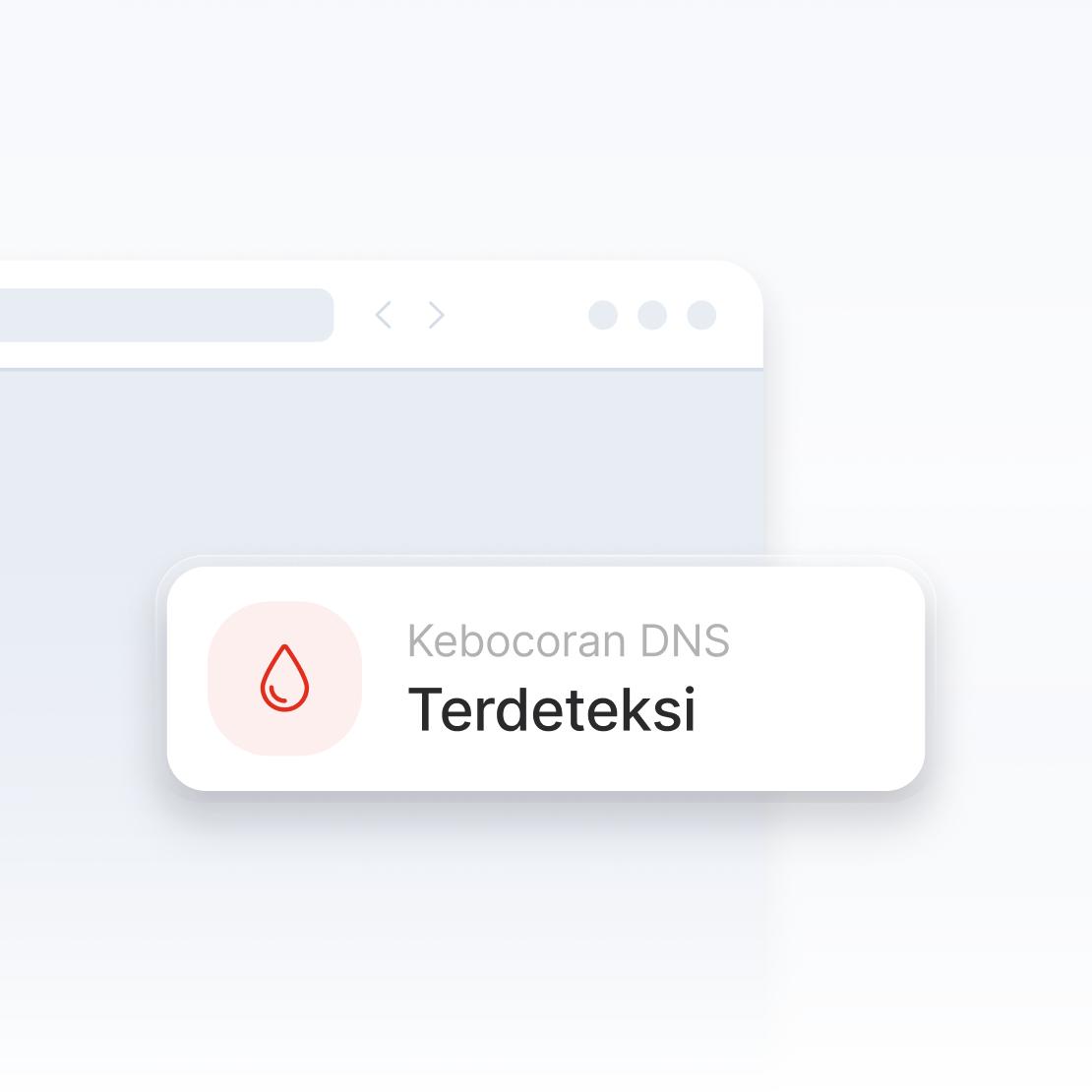 Tampilan sebagian layar peramban memberi peringatan kebocoran DNS.