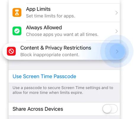 Disable Safari