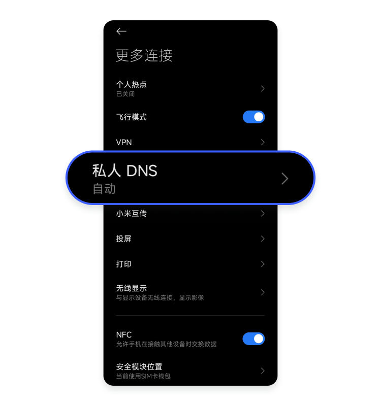 选择私人 DNS
