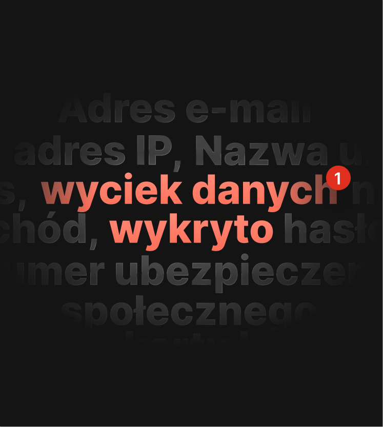 Ilustracja powiadomienia z testu wycieku DNS, które informuje użytkownika o wycieku danych.