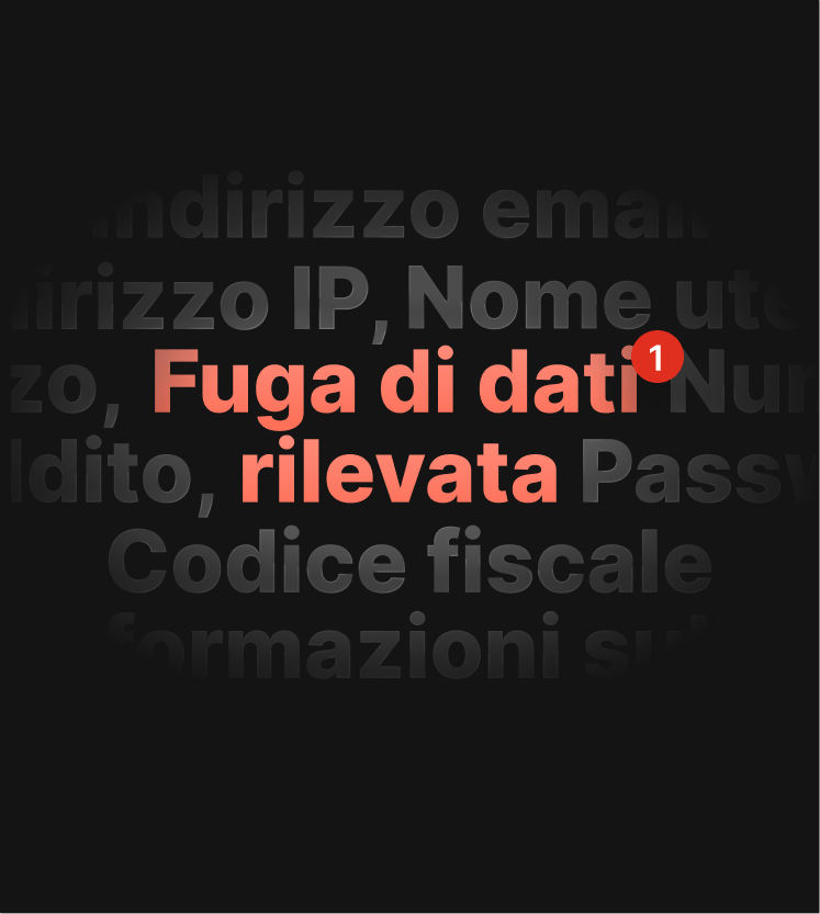 Un'illustrazione di un avviso di un test di leak DNS che notifica all'utente una violazione di dati.