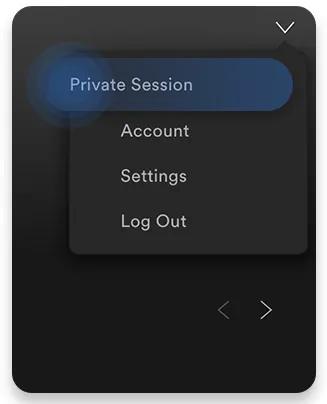 Spotify private session