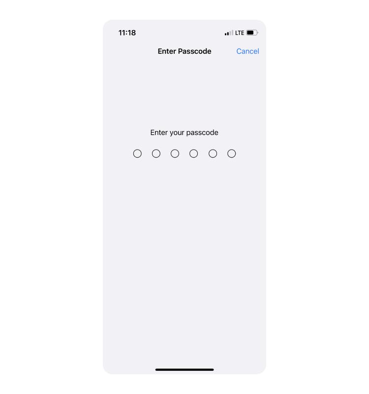 iphone passcode