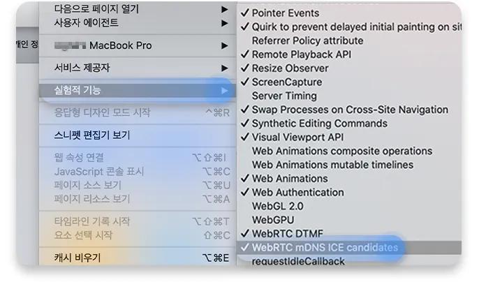 Safari에서 WebRTC를 비활성화하는 방법 3