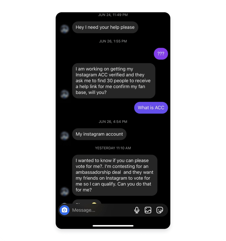 Instagram phishing message asking for a vote