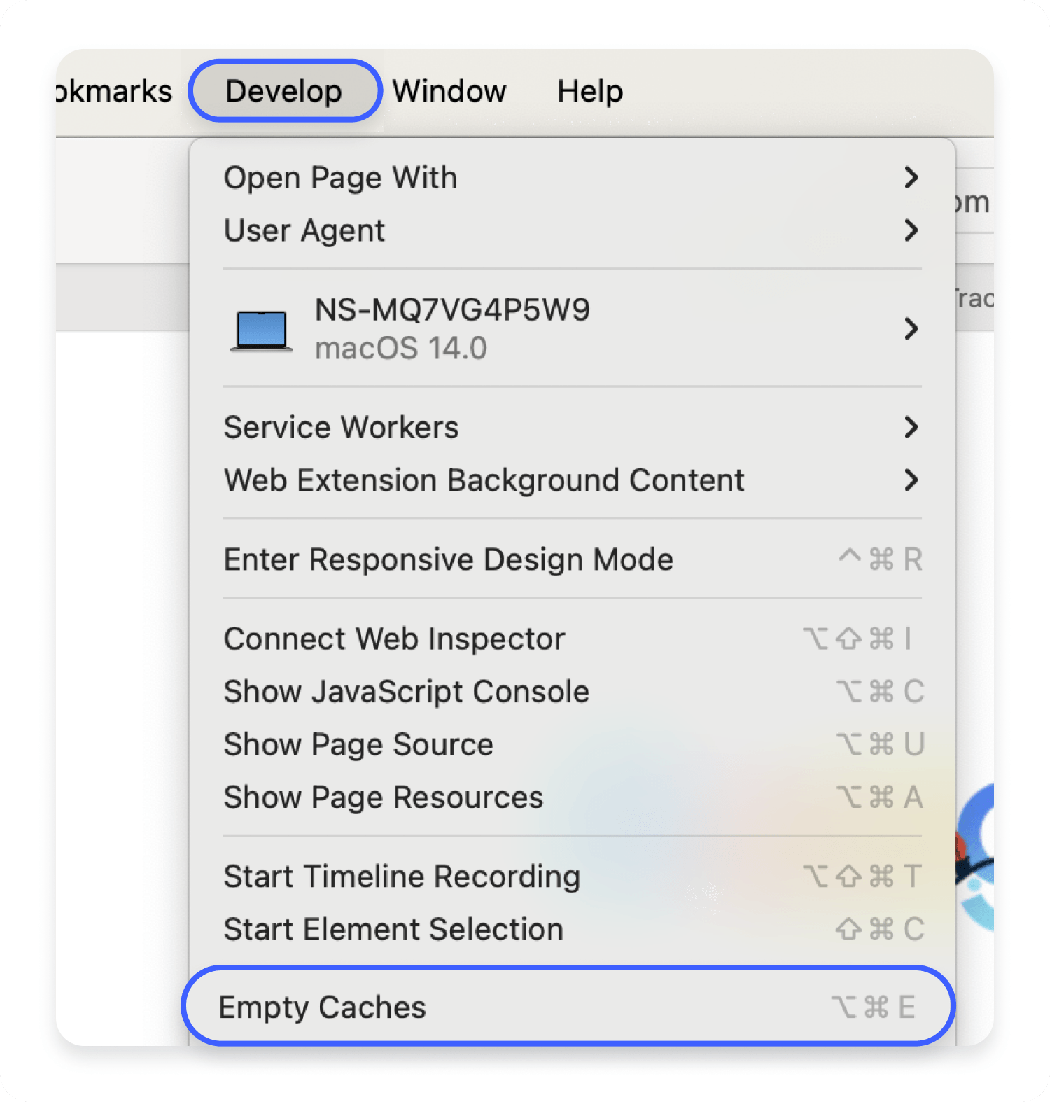 empty caches on Safari