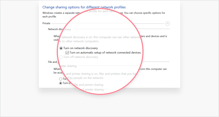 Windows Network Discovery instruction - Select Turn on automatic setup of network-connected devices box