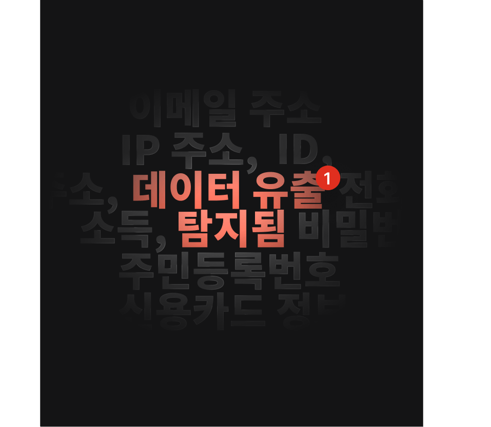 사용자에게 데이터 유출이 발생했음을 알리는 DNS 유출 테스트 경고 그림