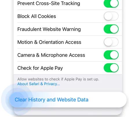 Delete Safari history